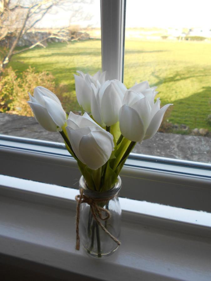 Hendre Clochydd Hall Llanaber Kültér fotó